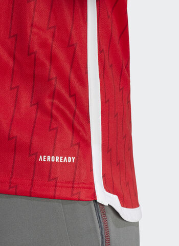 MAGLIA ARSENAL FC HOME 2023-24, RED, small