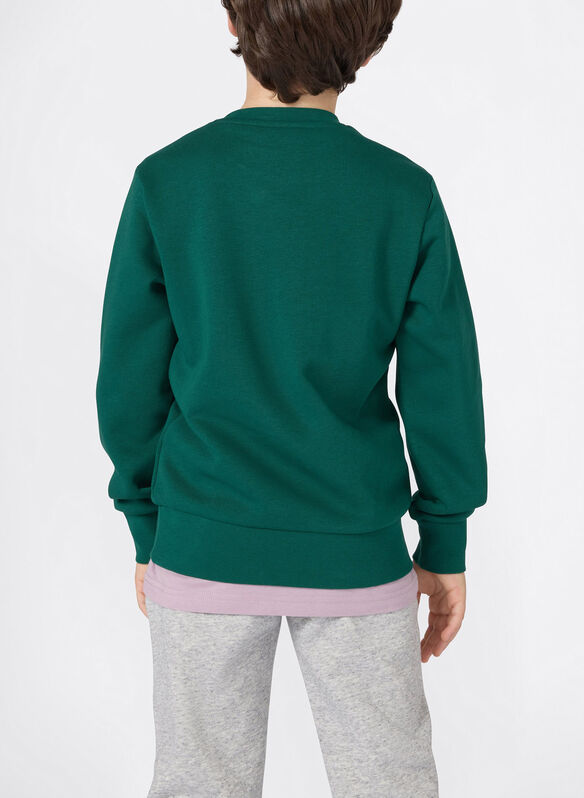 FELPA MICRO LOGO RICAMATO RAGAZZO, GS584 VERDONE, medium