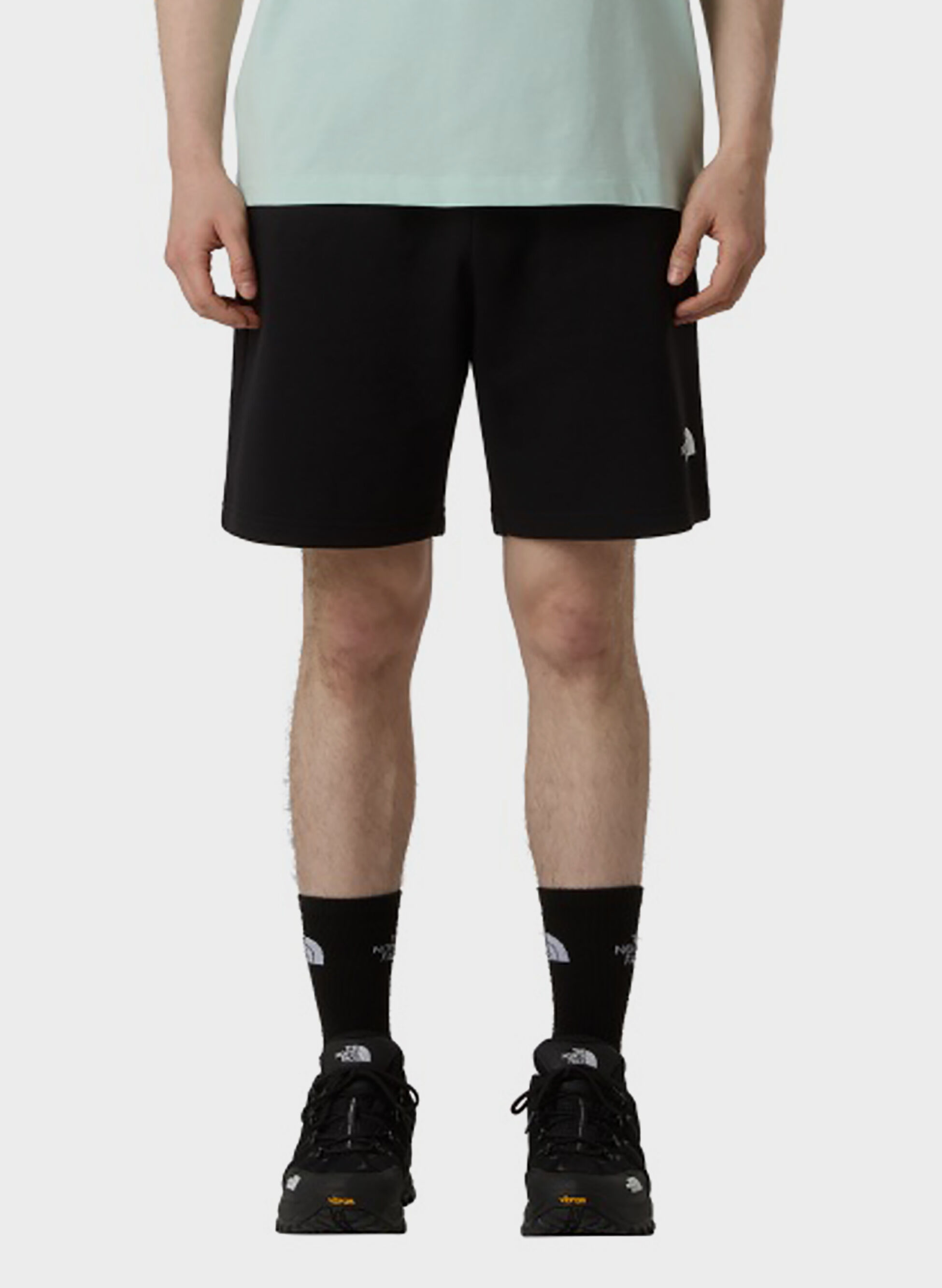 THE NORTH FACE SHORT SIMPLE DOME