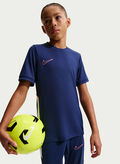 MAGLIA ACADEMY DRI-FIT JUNIOR, 493 BLUE, thumb