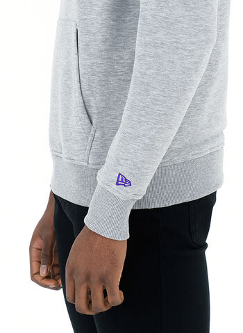FELPA HOODIE LOS ANGELES LAKERS, GREY, small