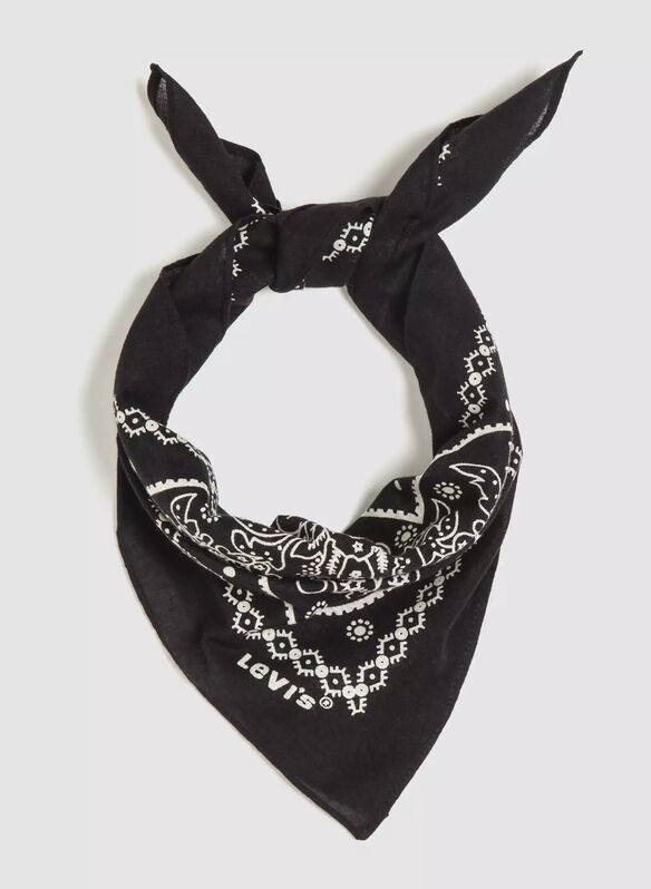 BANDANA PAISLEY, 0631 BLK, medium