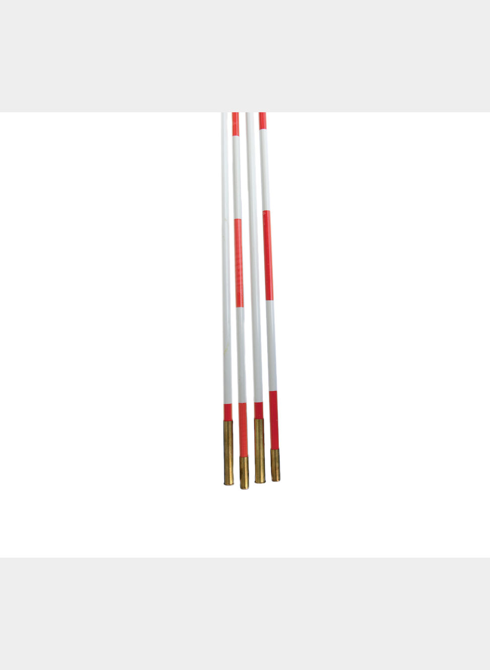 COPPIA ANTENNE VETRORESINA DIVISE UNI