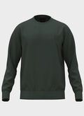 FELPA GIROCOLLO MICRO LOGO NEW, - GREEN, thumb