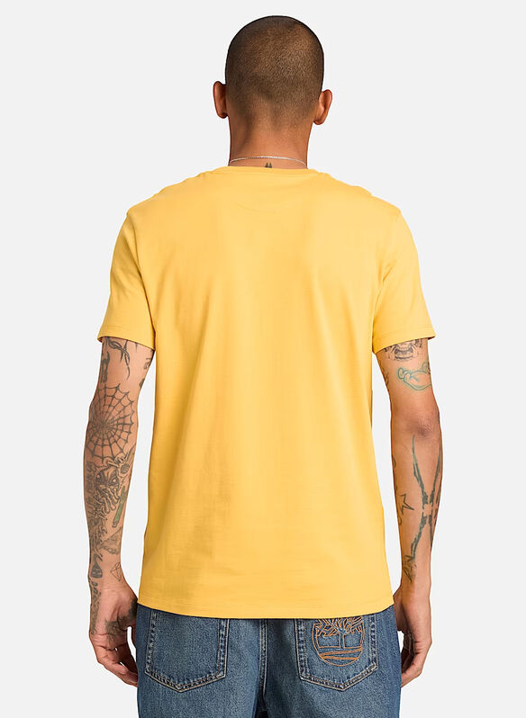T-SHIRT DUNSTAN RIVER, - YELLOW, medium