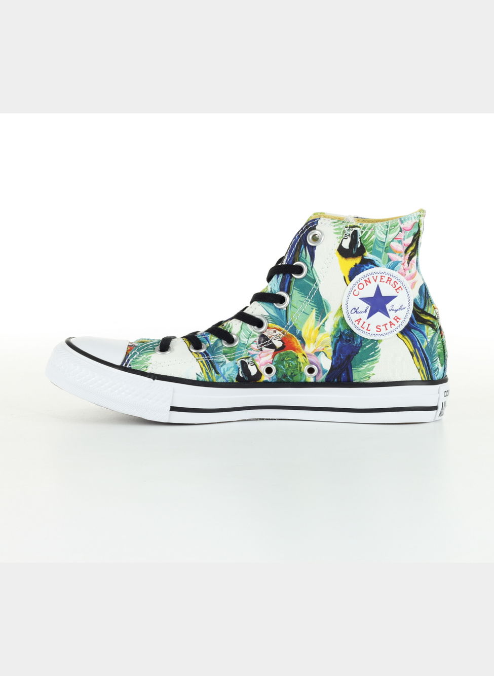 CONVERSE SCARPA ALL STAR PARROTS Donna |