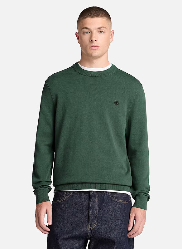 MAGLIONE GIROCOLLO IN COTONE, - GREEN, medium