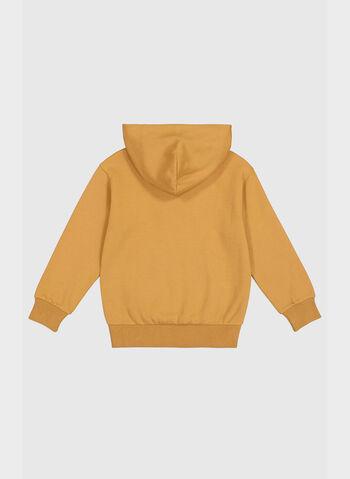 FELPA HOODIE ROCHESTER RAGAZZO, , small