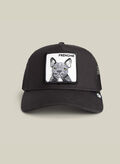 CAPPELLO THE FRENCHIE DOG, - VOID, thumb