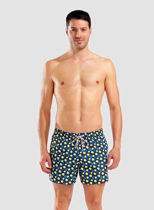 COSTUME BOXER PRINTS, 730 NVY, medium
