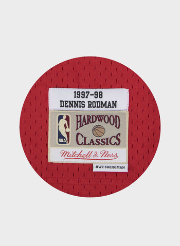 CANOTTA SWINGMAN JERSEY CHICAGO BULLS ALTERNATE 1997-98 DENNIS RODMAN, SCARLET, small
