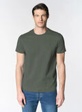 146 OLIVE