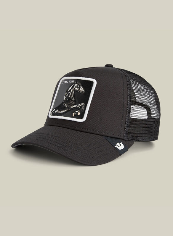 CAPPELLO STALLION TRUCKER UNISEX, - VOID, medium