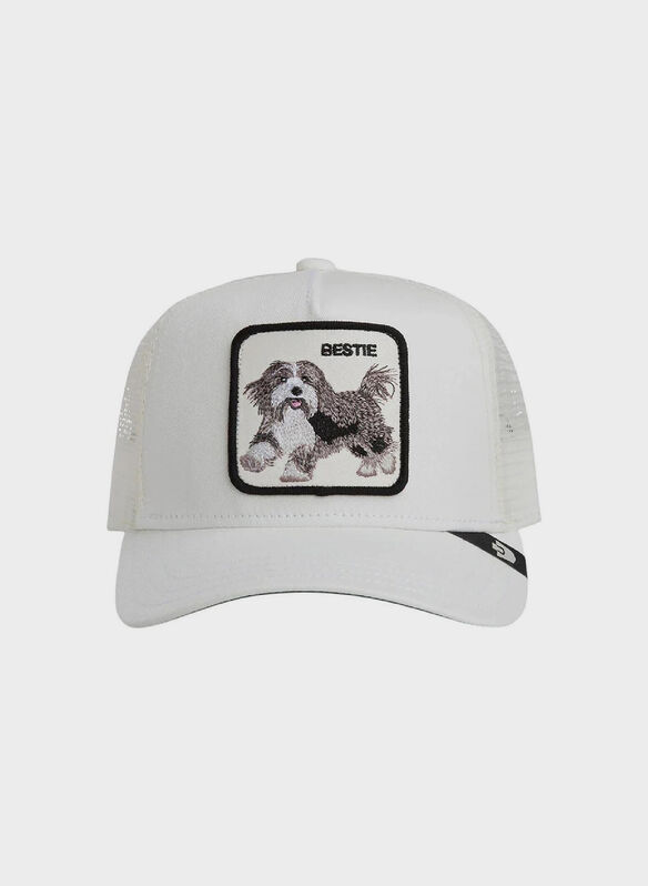 CAPPELLO BEASTIE TRUCKER, - DUST, medium