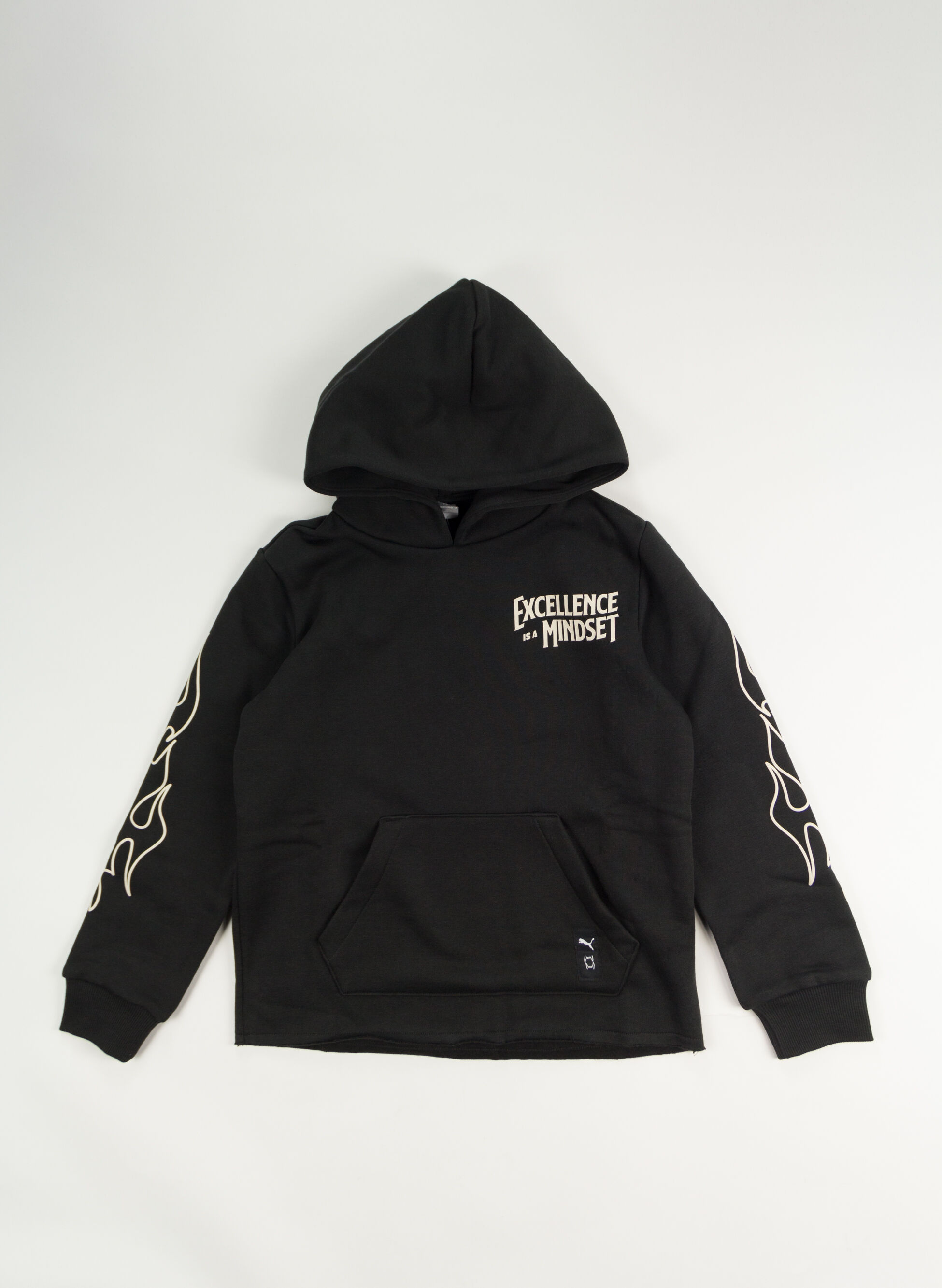 FELPA HOODIE EXCELLENCE RAGAZZO