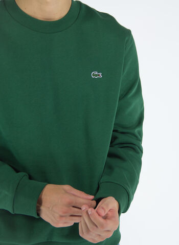 FELPA IN COTONE BIOLOGICO SPAZZOLATO, , small