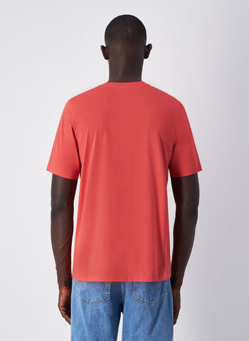 T-SHIRT ICONS TONAL MICRO LOGO, RS068 MATTONE, small