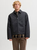 GIUBBOTTO COLTON NOOS, BLACK, thumb