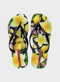 INFRADITO ARTE CONECTA, BO063 BLKYEL, thumb