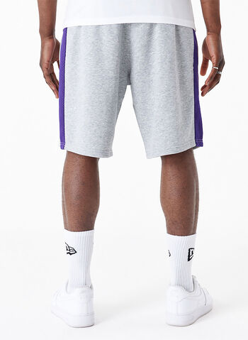 SHORTS NBA LAKERS MESH, GREY, small