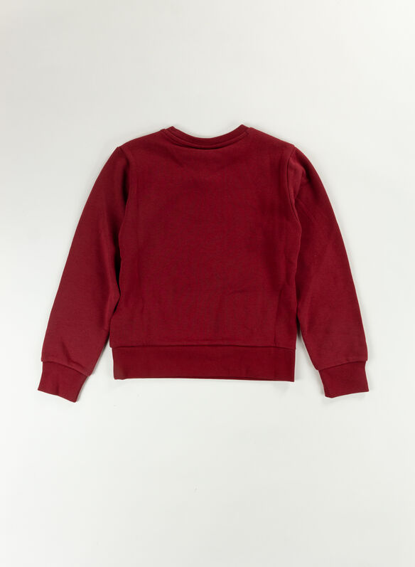 FELPA  AMERICAN CLASSICS BIG LOGO RAGAZZO, RS506 BORDO, medium