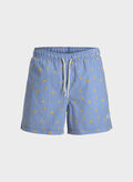 BOXER BEACH BREEZE, DELFT CEL, thumb