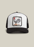 CAPPELLO ROOSTER TRUCKER UNISEX, - DUST/VOID, thumb