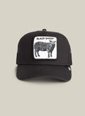 CAPPELLO BLACK SHEEP TRUCKER UNISEX, - VOID, thumb