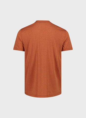 T-SHIRT DRIRELEASE COTTON, C528 RUGGINE, small