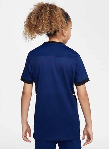 MAGLIA NIKE DF ACADEMY 25 RAGAZZO, 492 NVYRED, small